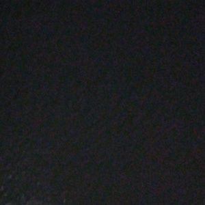 Meet your Posher, Kyonsha